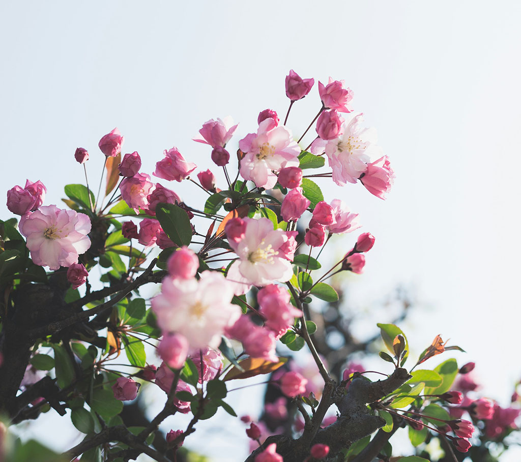 Caroline and Mary, Co-Founders